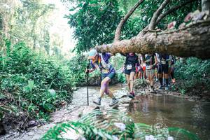 BIB: 
                            <button type="button" onclick="openModal(25467211)" class="btn btn-primary btn-sm float-right btn-popup" data-toggle="modal" data-target=".modal-high-quality">
                        <i class="fas fa-shopping-cart"></i> Add to Cart
                    </button>
                                            <button type="button" onclick="isThisMe(25467211, true)" class="btn btn-success btn-sm float-right btn-popup btn-isme hidden" data-toggle="tooltip" data-placement="bottom" title="นี่คือรูปของคุณใช่ไหม คลิกที่นี่เพื่อเอาเข้าอัลบั้ม">
                        <i class="fas fa-plus"></i> Add to album
                    </button>
                    <button type="button" onclick="isThisMe(25467211, false)" class="btn btn-warning btn-sm float-right btn-popup btn-isnotme hidden">
                        <i class="fas fa-ban"></i> Remove from album
                    </button>